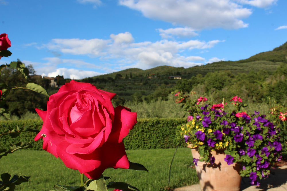 Casa Portagioia Bed & Breakfast Castiglion Fiorentino Exterior photo